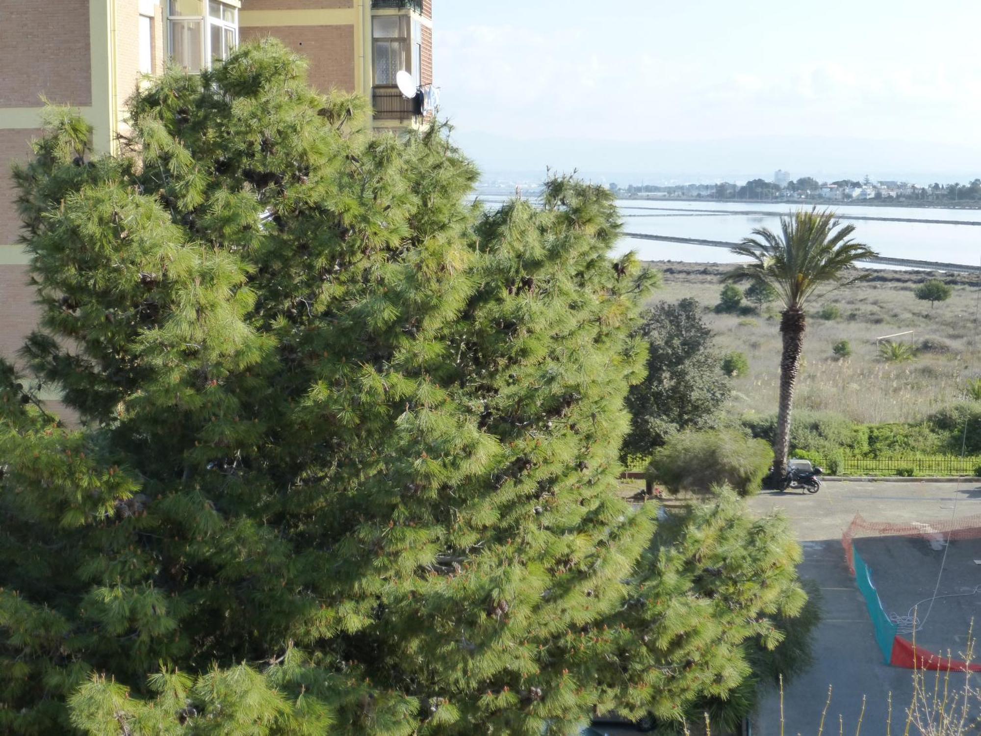 Chelu & Luna Cagliari Exterior foto